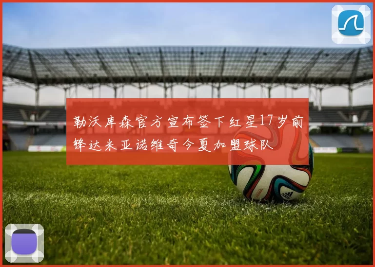 勒沃库森官方宣布签下红星17岁前锋达米亚诺维奇今夏加盟球队
